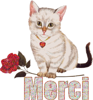 tout simplement merci!